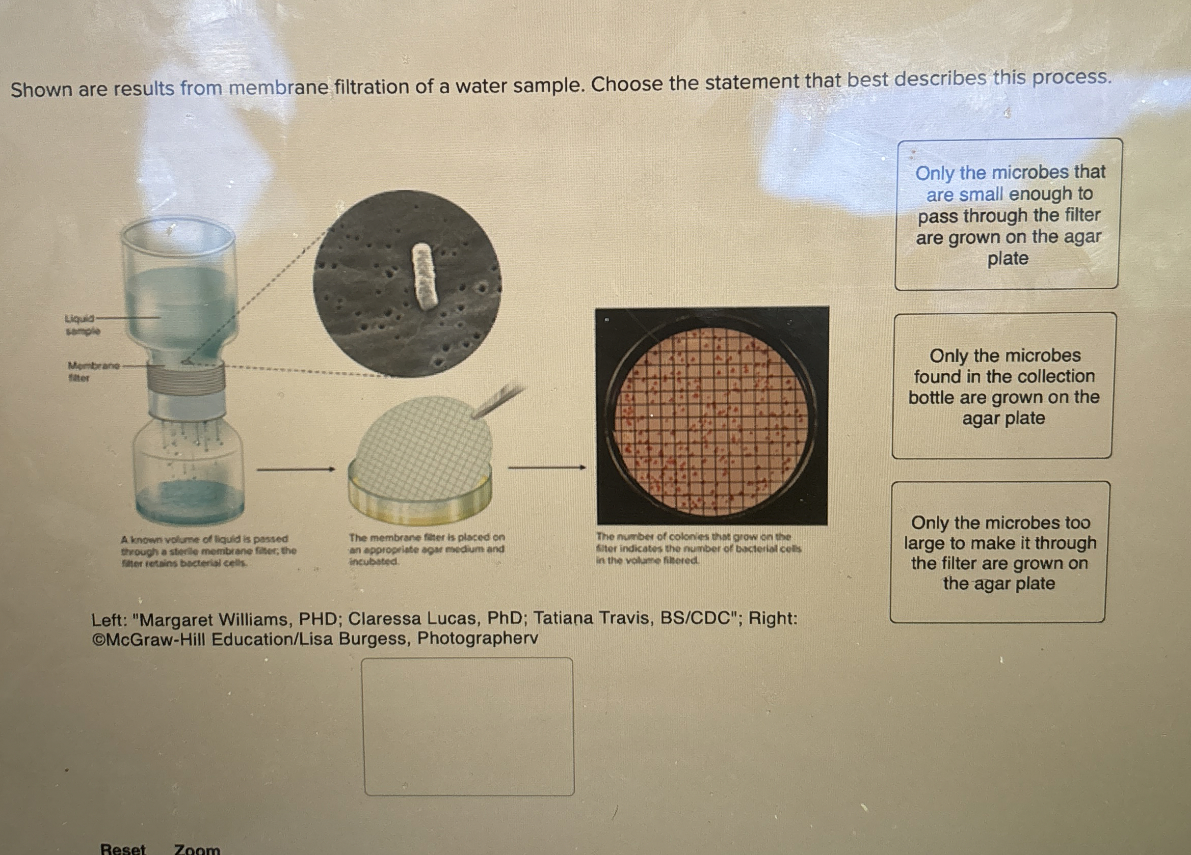Solved Shown are results from membrane filtration of a water | Chegg.com
