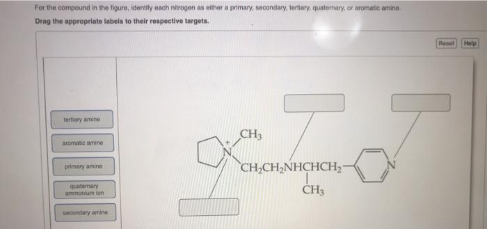 Solved For the compound in the figure, identity cach | Chegg.com