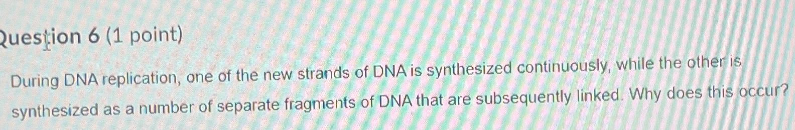 Solved Quesịion 6 (1 ﻿point)During DNA replication, one of | Chegg.com