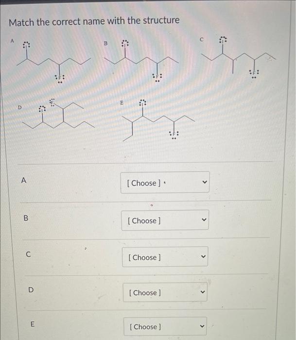 Solved Match the correct name with the structure B E D A A | Chegg.com