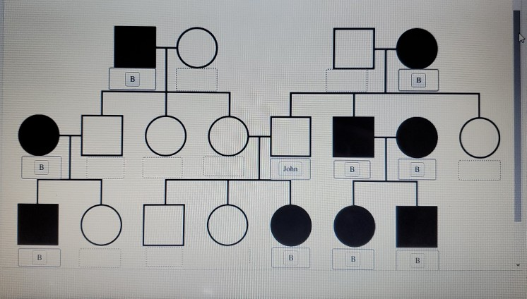 Solved B B O CE TOTO B John B B B B B B A Detailed History | Chegg.com