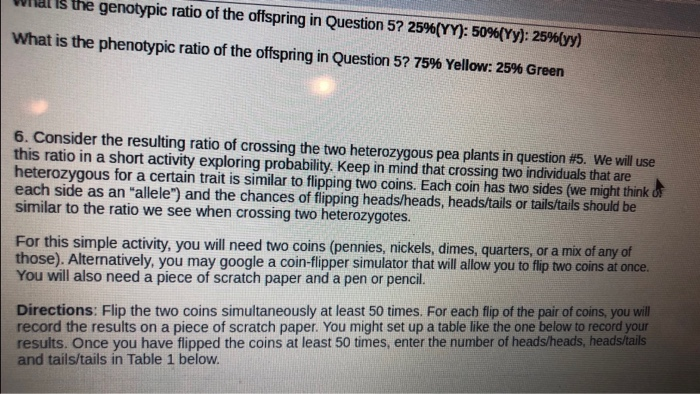 Coin Flip Simu - Flip a Coin to Get Heads or Tails Results