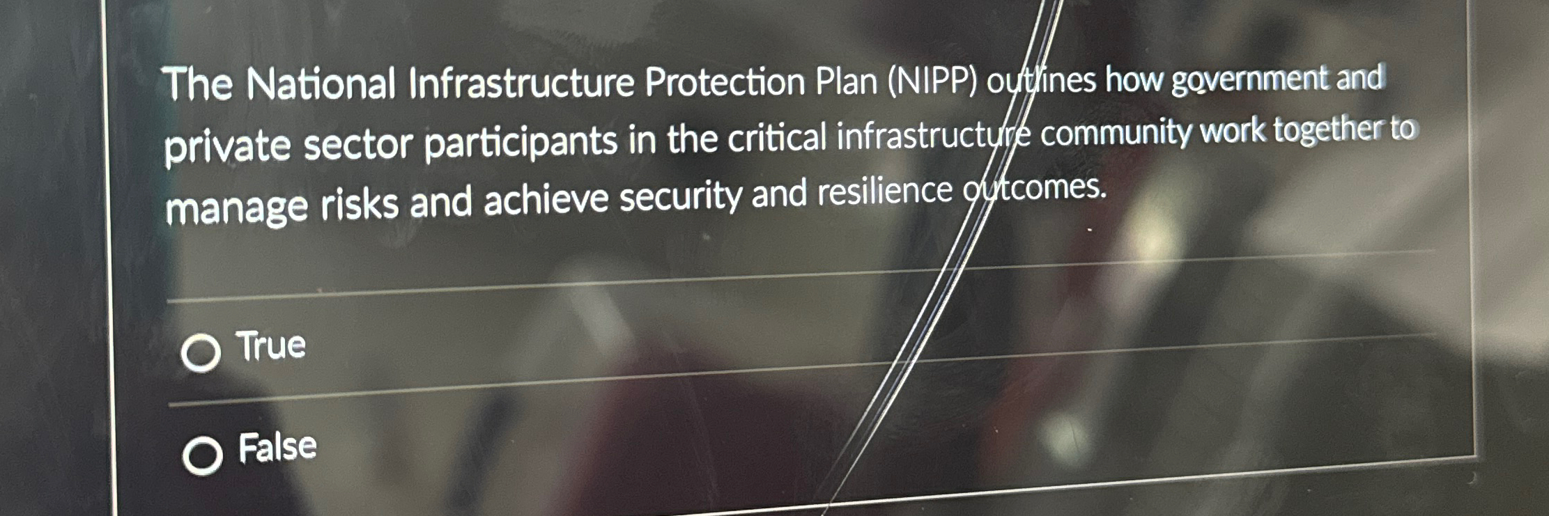 Solved The National Infrastructure Protection Plan (NIPP) | Chegg.com