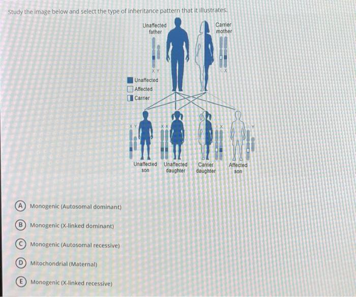 Solved Study the image below and select the type of | Chegg.com