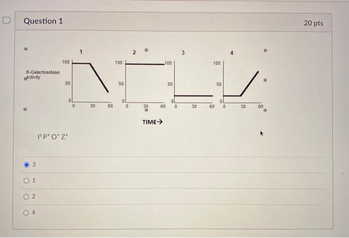 Solved Question 1 20 pts 1 2 3 100 100 100 100 | Chegg.com