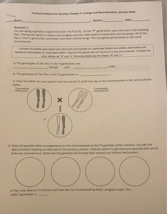 Genetics chapter 5 part 2(1)