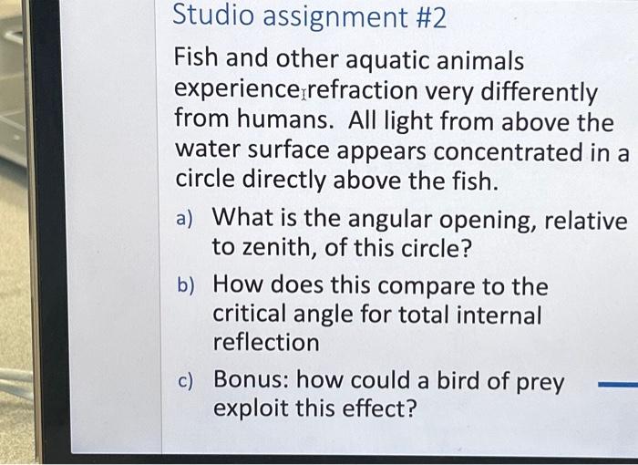 Solved Studio assignment #2 Fish and other aquatic animals | Chegg.com