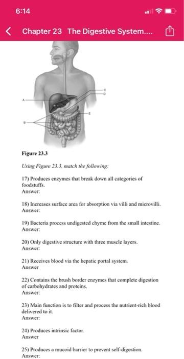 Solved 6:13 Chapter 23 The Digestive System.... Figure 23.2 | Chegg.com