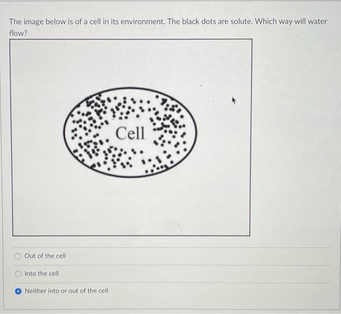 Solved The image below is of a cell in its environment. The | Chegg.com