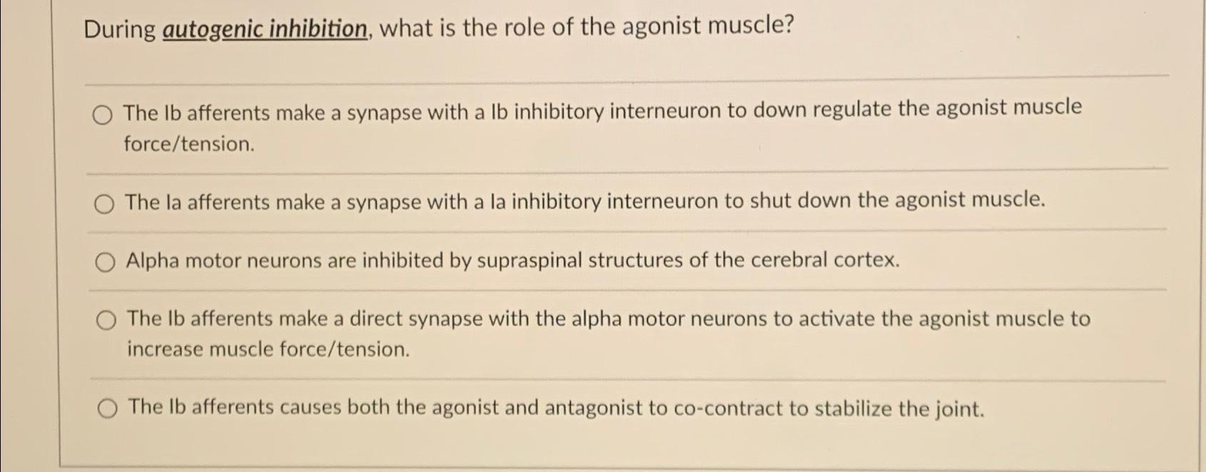 Solved During Autogenic Inhibition, What Is The Role Of The 