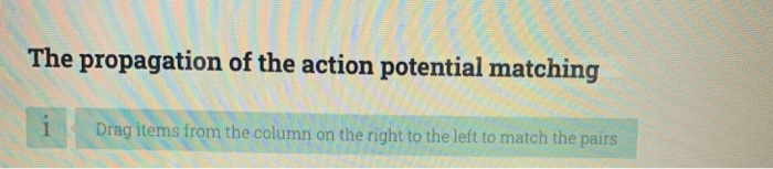 Solved The propagation of the action potential matching i | Chegg.com