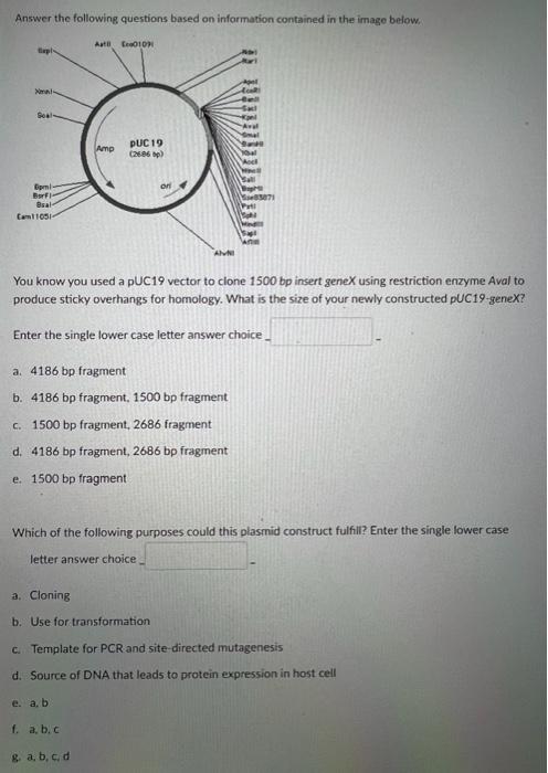 Solved Answer the following questions based on information | Chegg.com