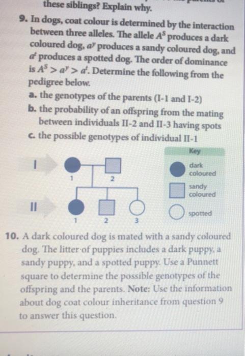 Solved 9. In dogs, coat colour is determined by the | Chegg.com