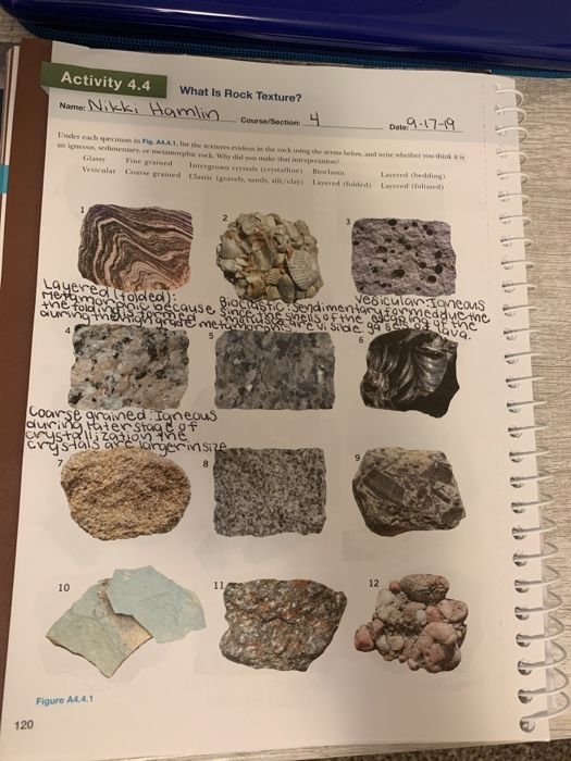 Solved Activity 4.4 What Is Rock Texture? Name: Nikki Hamlin | Chegg.com