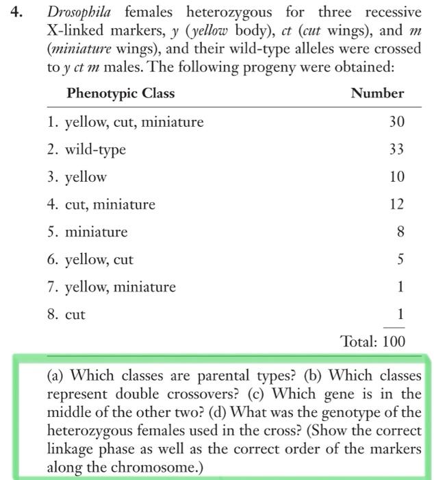 Solved Drosophila Females Heterozygous For Three Recessive | Chegg.com