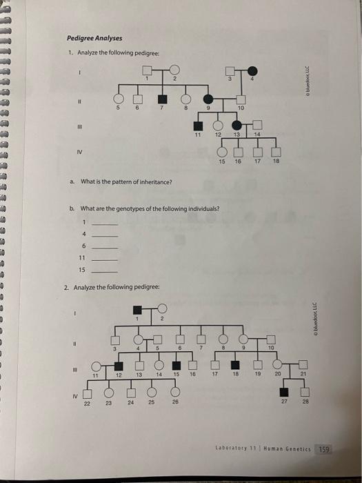 Solved b. What are the genotypes of the following | Chegg.com