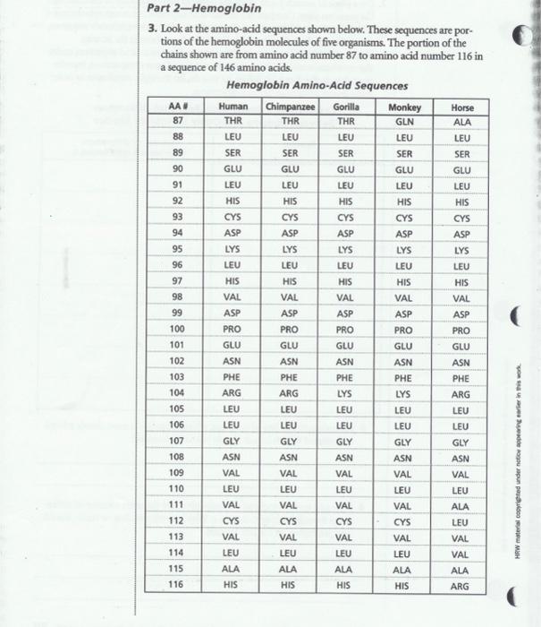 Part 2Hemoglobin 3. Look at the aminoacid sequences