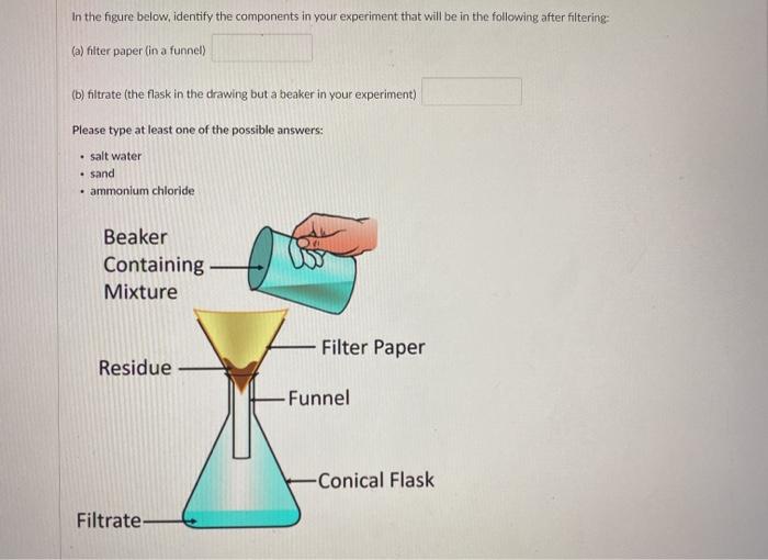 filter funnel with filter paper