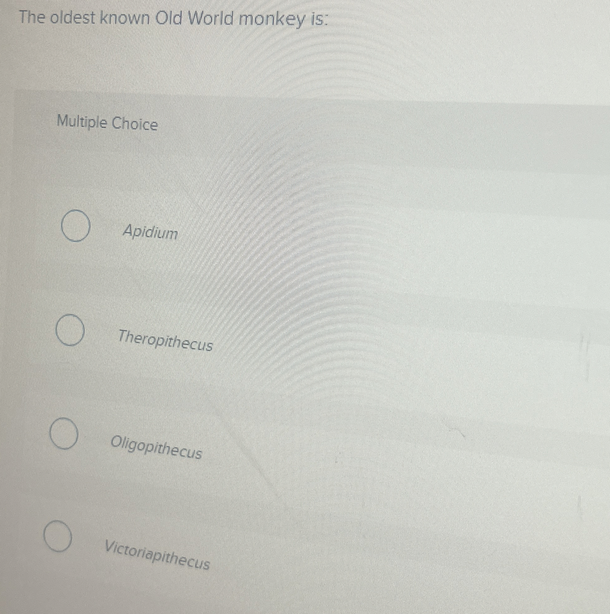 Solved The oldest known Old World monkey is:Multiple | Chegg.com