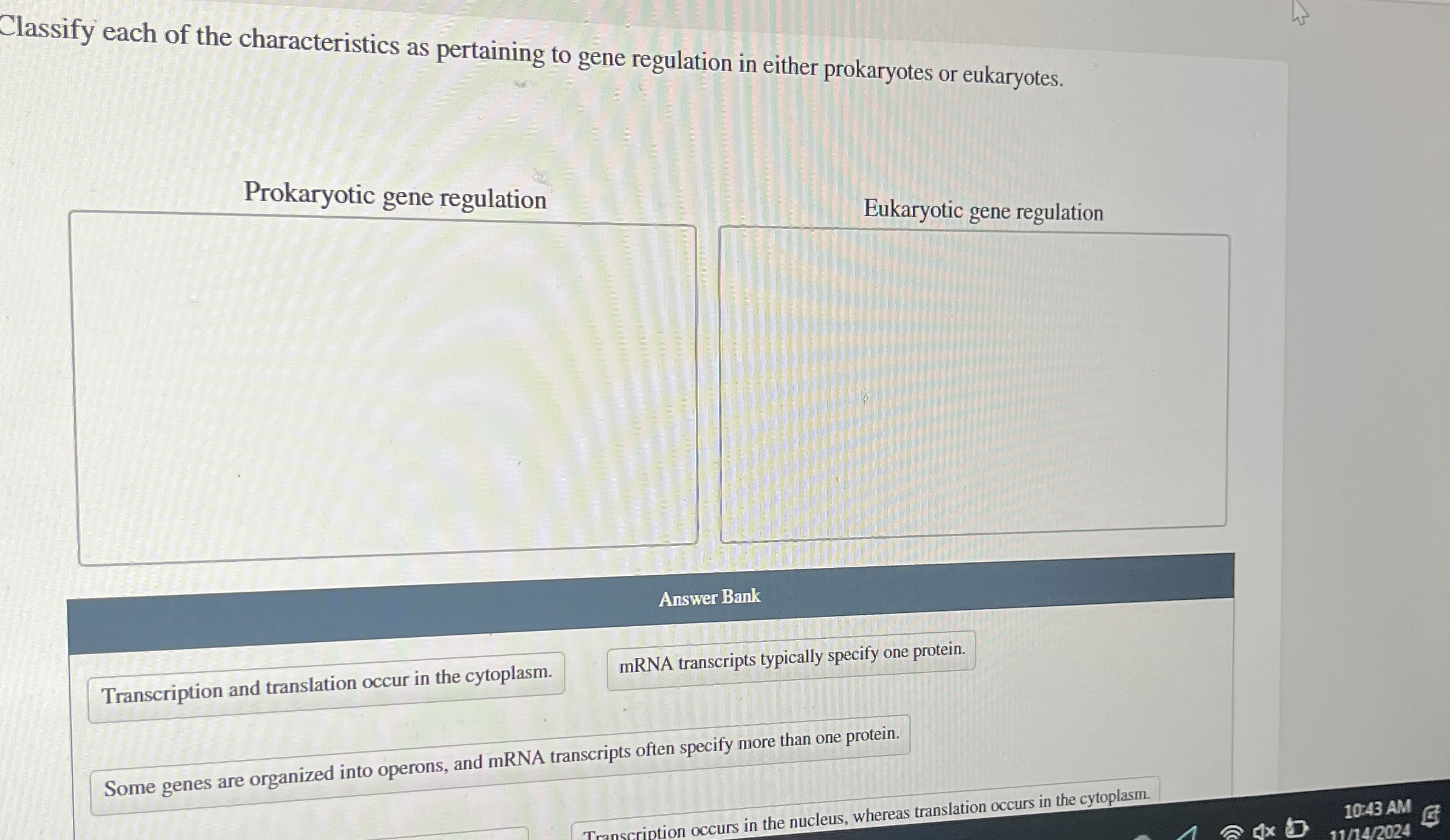 Solved Classify each of the characteristics as pertaining to | Chegg.com