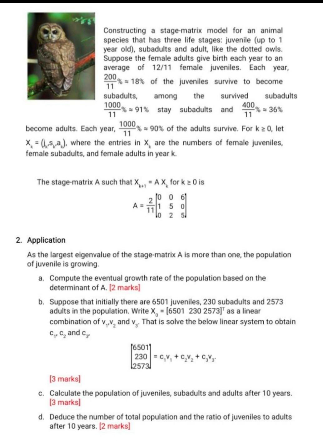 Solved Constructing a stage-matrix model for an animal | Chegg.com