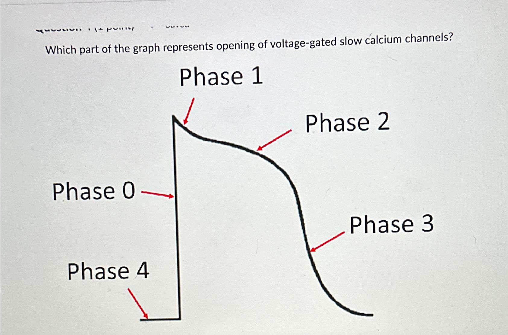 Solved Which part of the graph represents opening of | Chegg.com