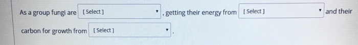 Solved As A Group Fungi Are Select Getting Their Energ Chegg Com