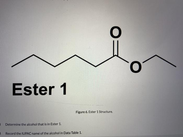 Solved IUPAC of Carboxylic acid IUPAC of Ester Experiment 1