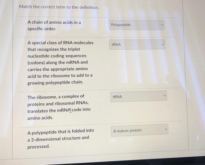 Solved Choose all statements that are true about RNA. The