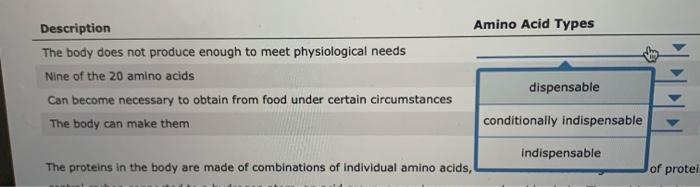Solved Amino Acid Types Description The body does not | Chegg.com