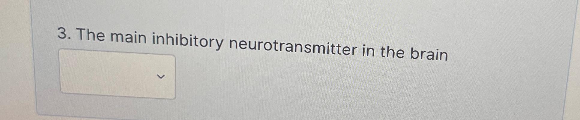 Solved The Main Inhibitory Neurotransmitter In The Chegg