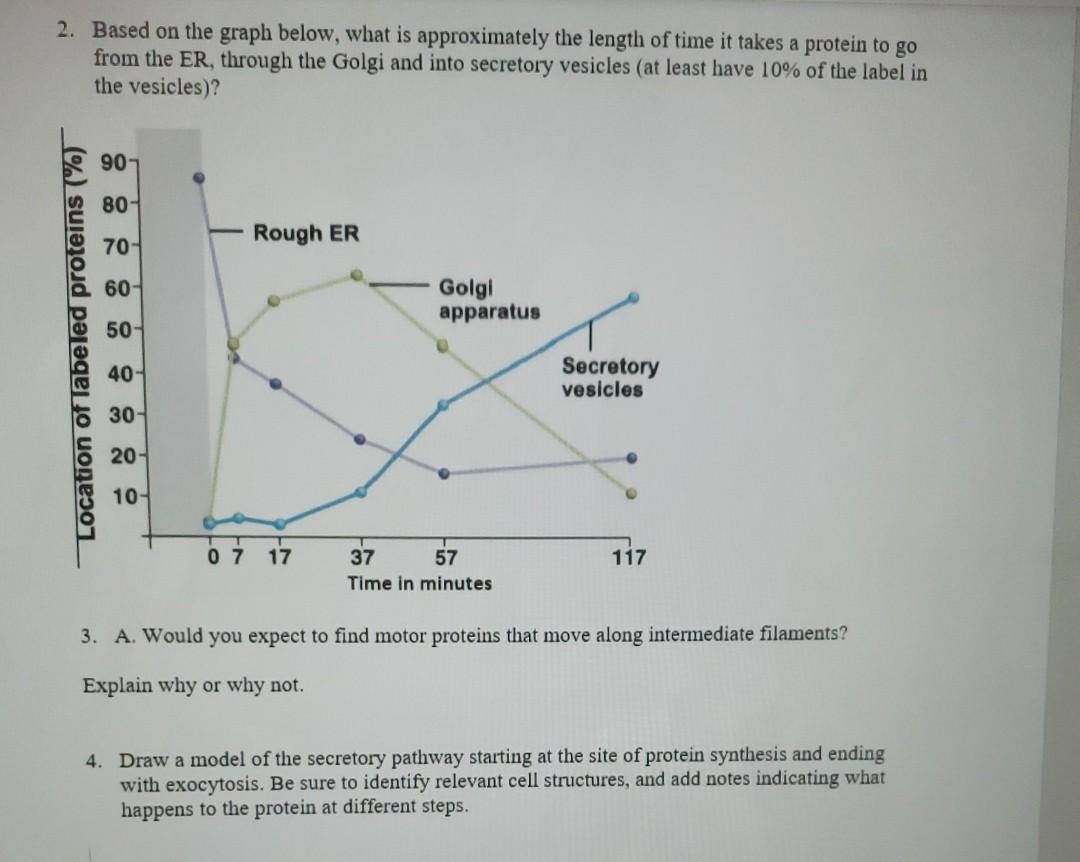 Solved 2. Based on the graph below, what is approximately | Chegg.com