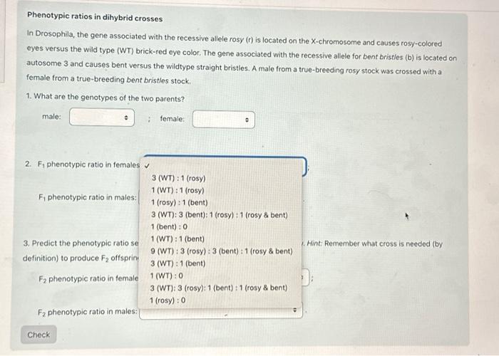 Solved Phenotypic Ratios In Dihybrid Crosses In Drosophila, | Chegg.com