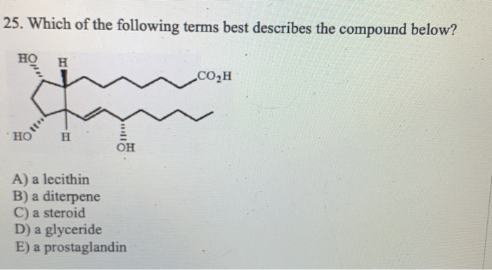 solved-25-which-of-the-following-terms-best-describes-the-chegg