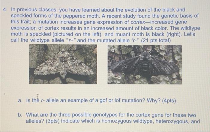 In previous classes, you have learned about the evolution of the black and speckled forms of the peppered moth. A recent stud