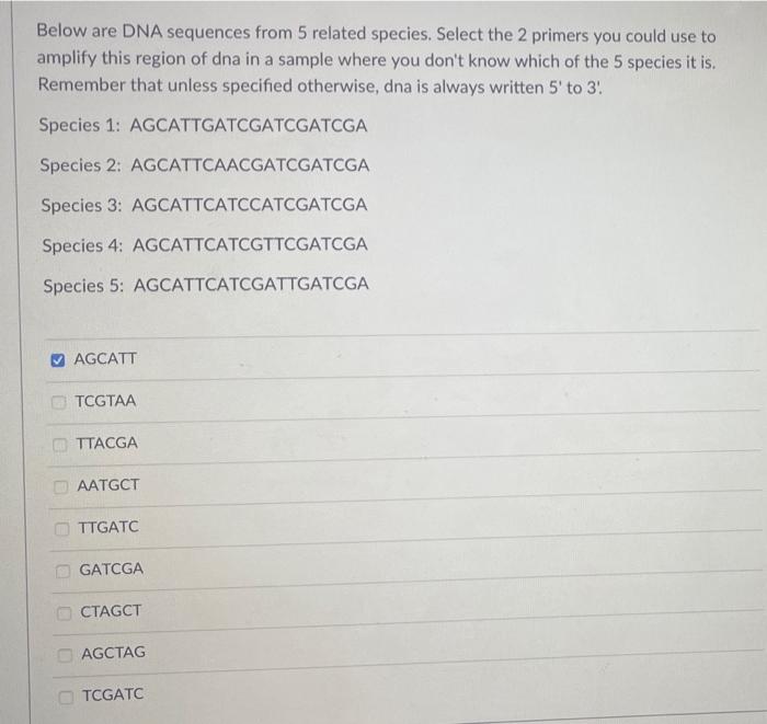 Solved Below are DNA sequences from 5 related species. | Chegg.com