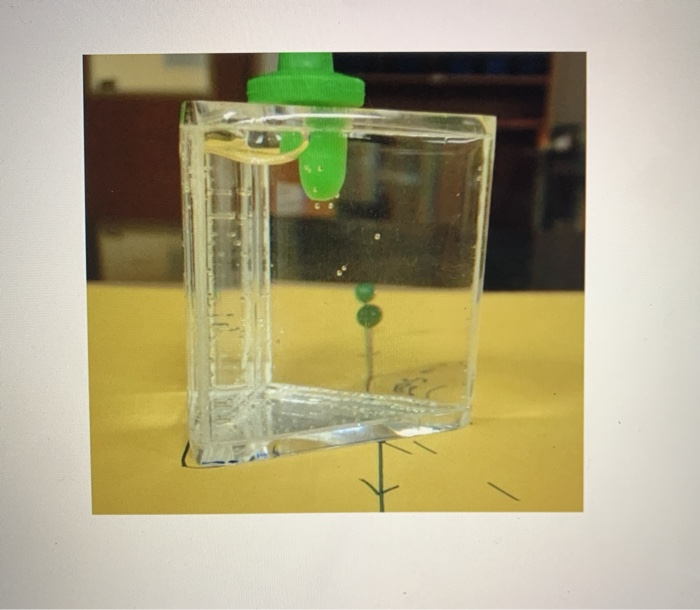 Solved Procedures Refraction of Light by a Water Prism 1.