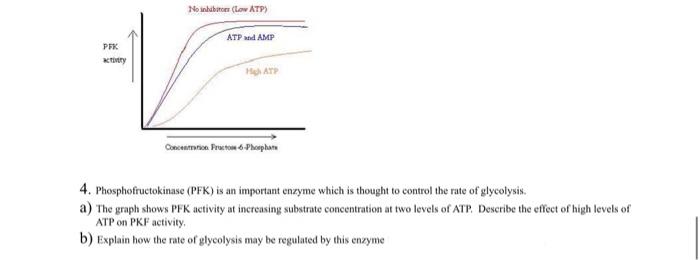 Solved 4. Phosphofructokinase (PFK) is an important enzyme | Chegg.com