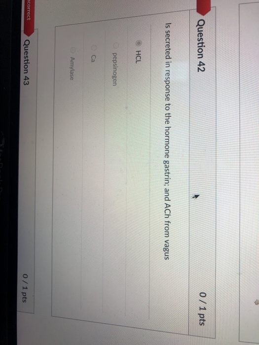 Solved Question 42 0/1 pts Is secreted in response to the | Chegg.com