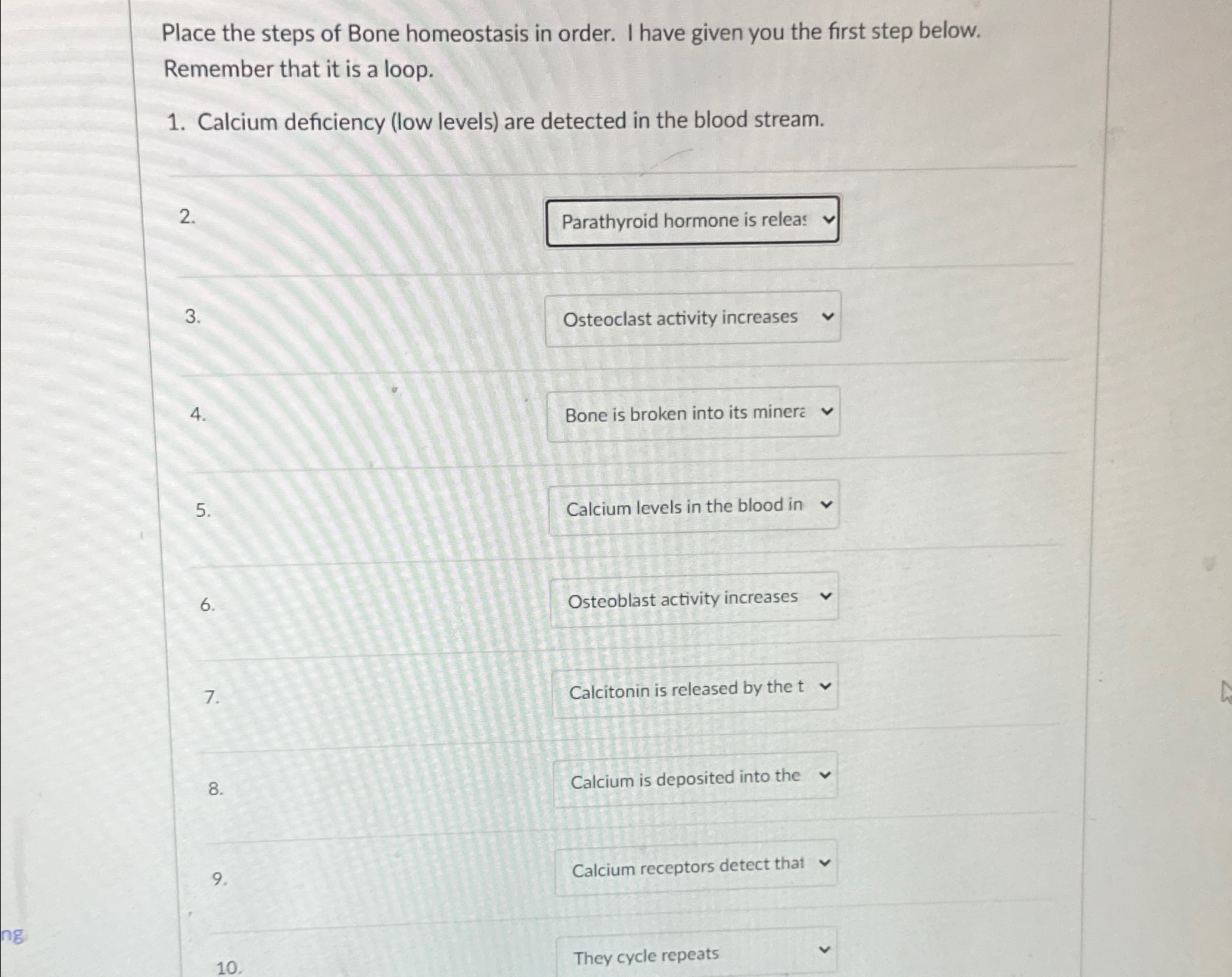 Solved Place the steps of Bone homeostasis in order. I have | Chegg.com
