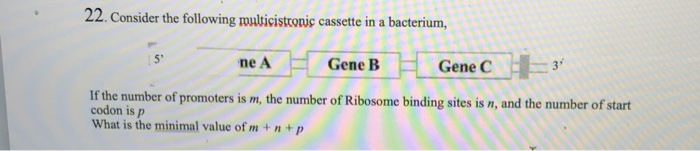 Solved A) Refer to the multicistronic expression cassette | Chegg.com