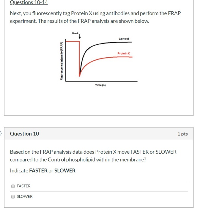 Solved Questions 8-14. You are studying a cell | Chegg.com
