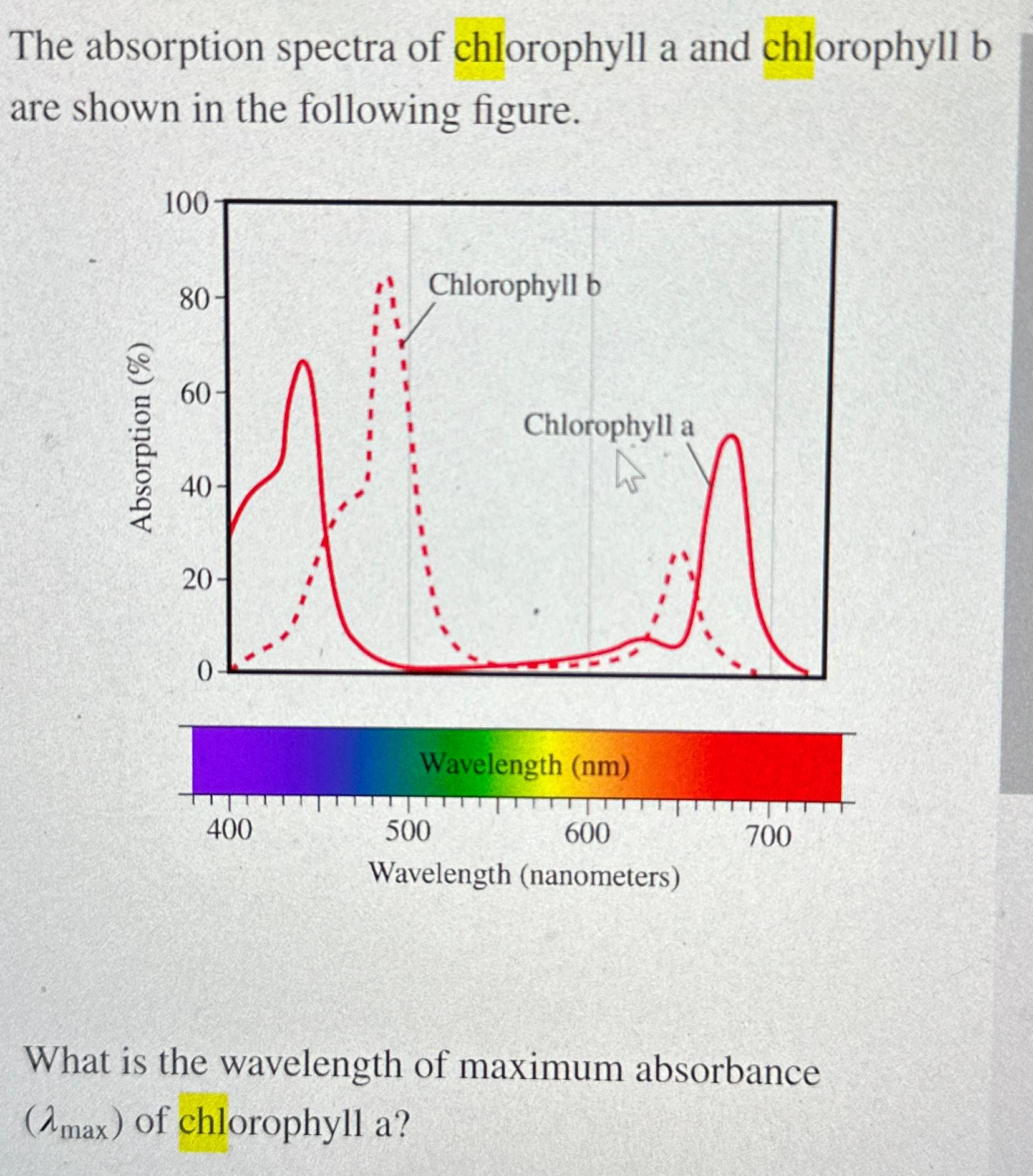 Solved The absorption spectra of chlorophyll a and