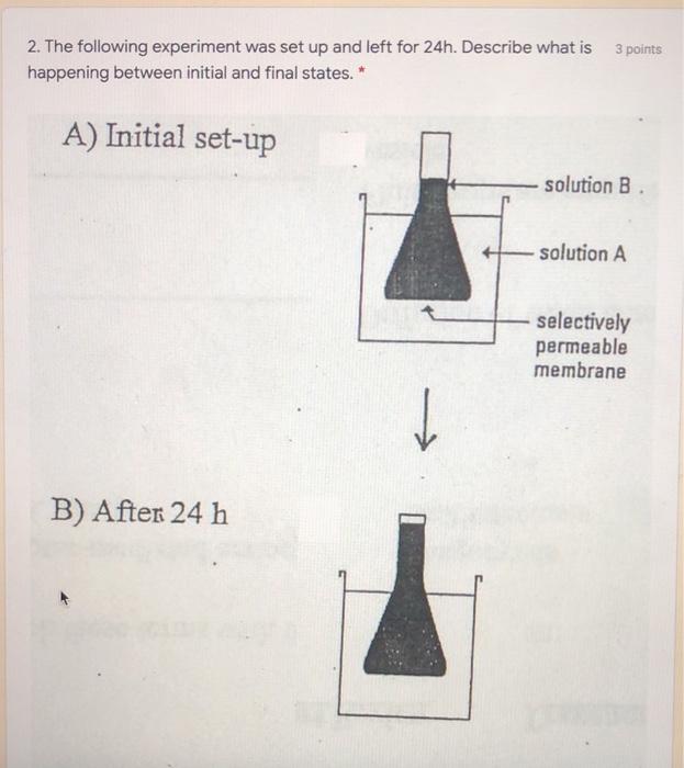 Solved 3 points 2. The following experiment was set up and | Chegg.com