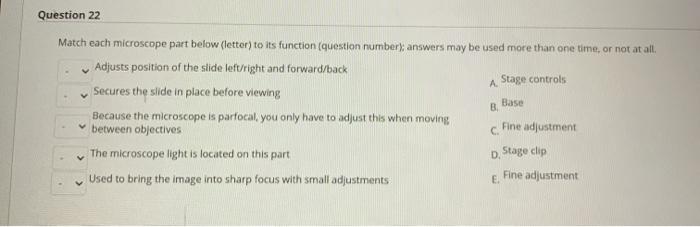 Solved Question 22 A Match each microscope part below | Chegg.com