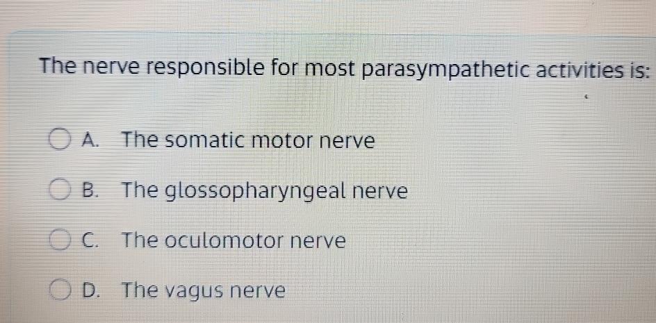 Solved The nerve responsible for most parasympathetic | Chegg.com