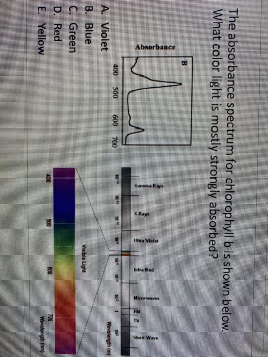 Solved The mass spectrum of a compound whose empirical | Chegg.com