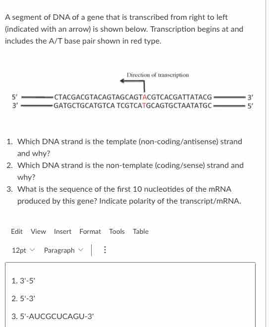 Solved A Segment Of Dna Of A Gene That Is Transcribed From 