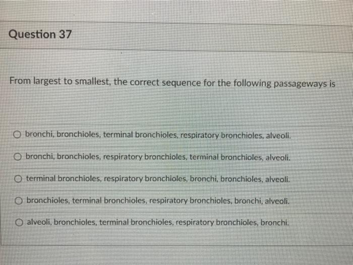 Solved Question 37 From largest to smallest, the correct | Chegg.com