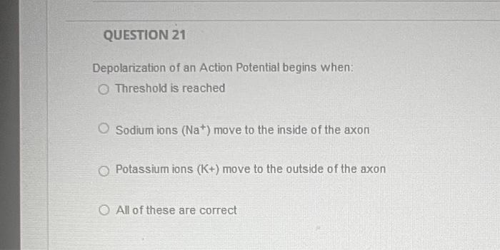 during depolarization of an action potential sodium ions